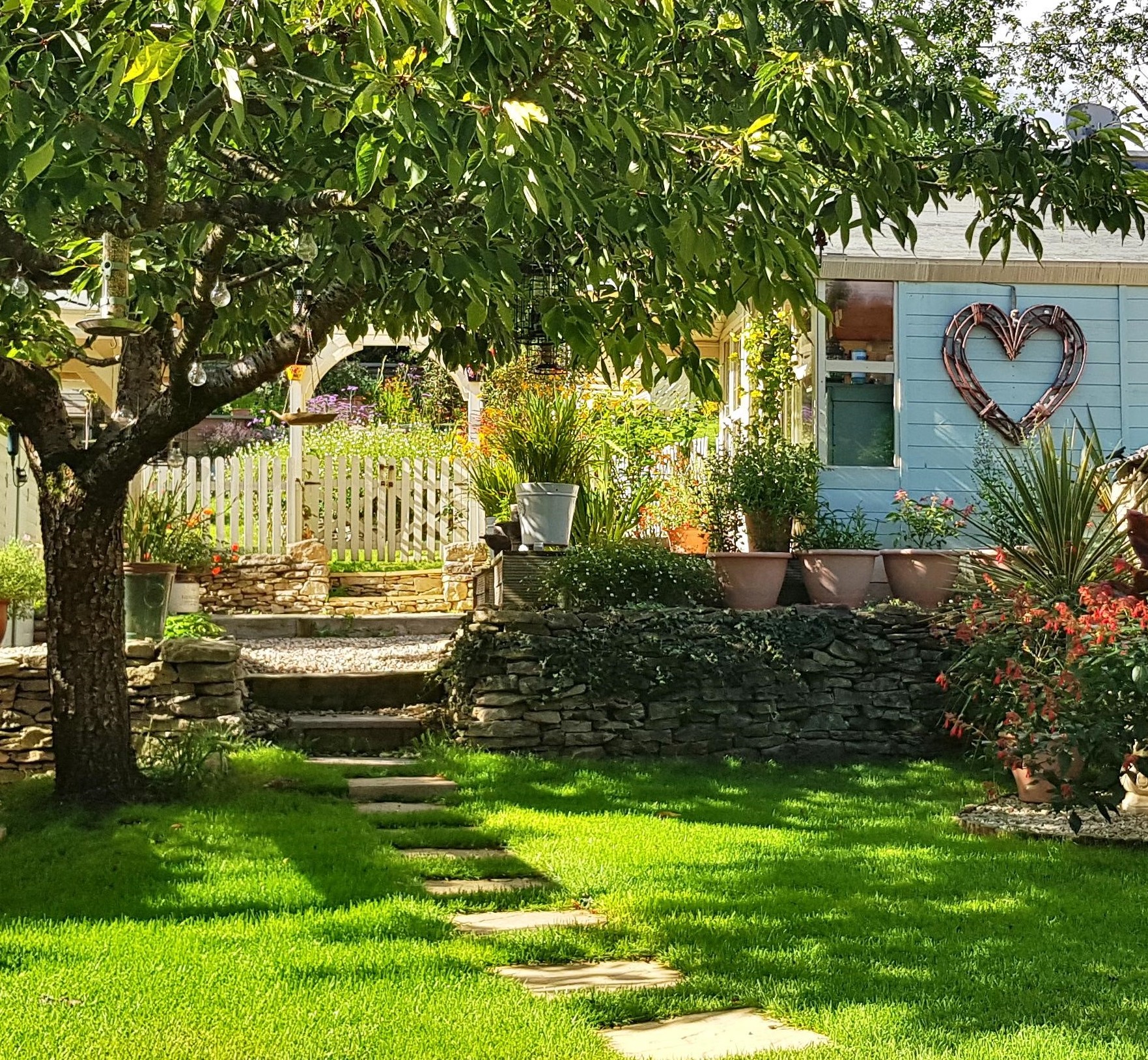 Grass Seed For Shade